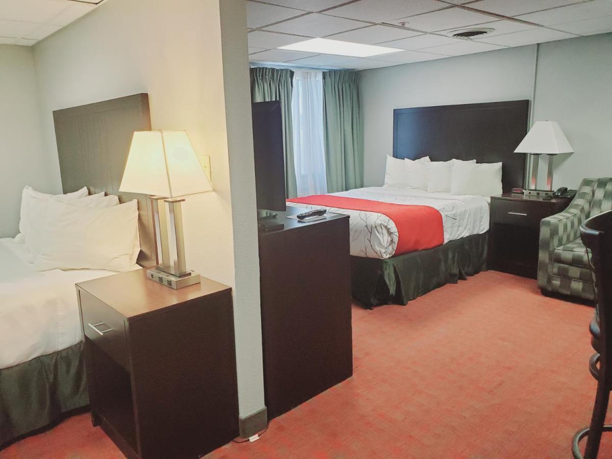 Familly Suite with Two Queen Beds and Kitchennette,1100994525:JPEG