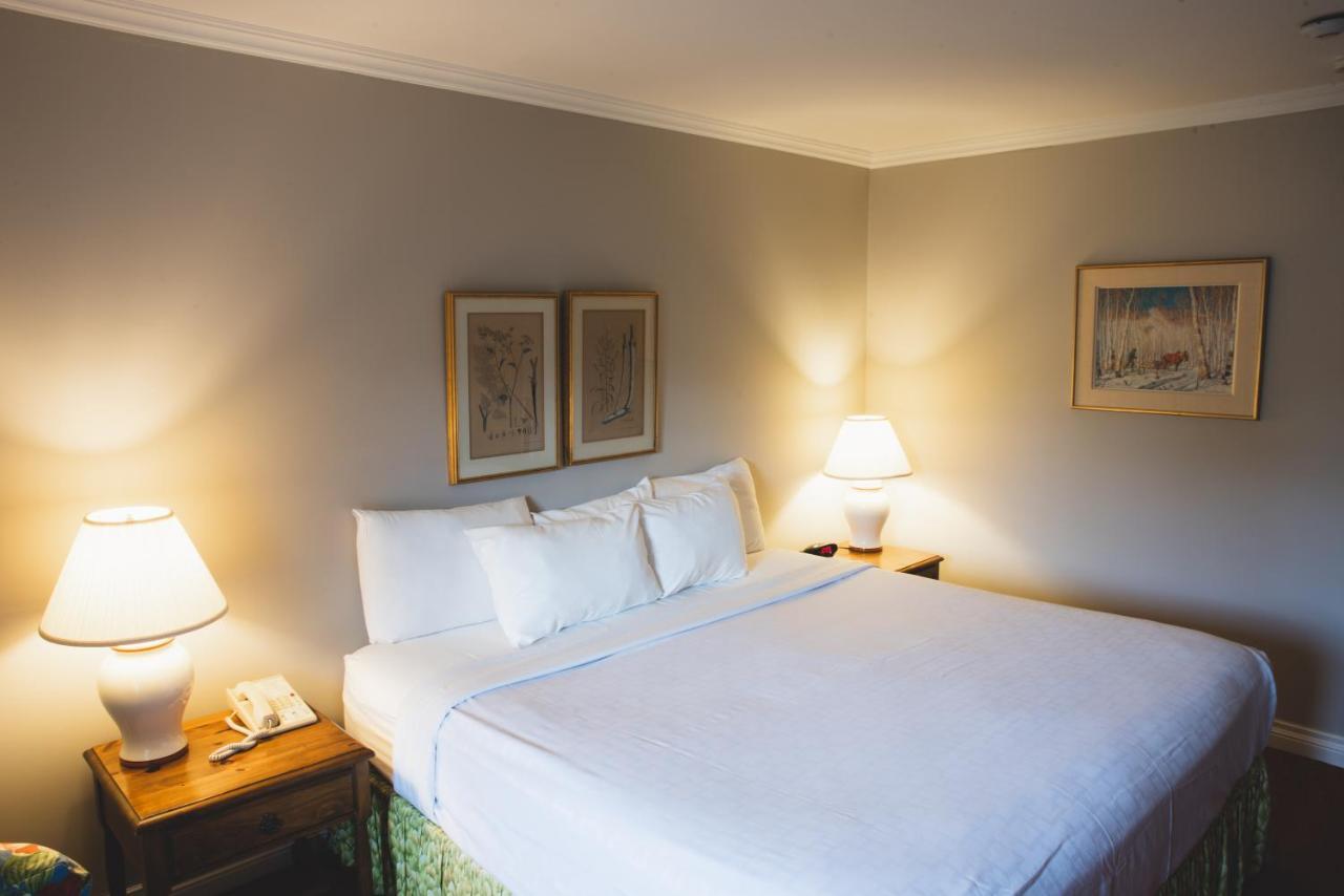 Deluxe Double or Twin Room Garden View