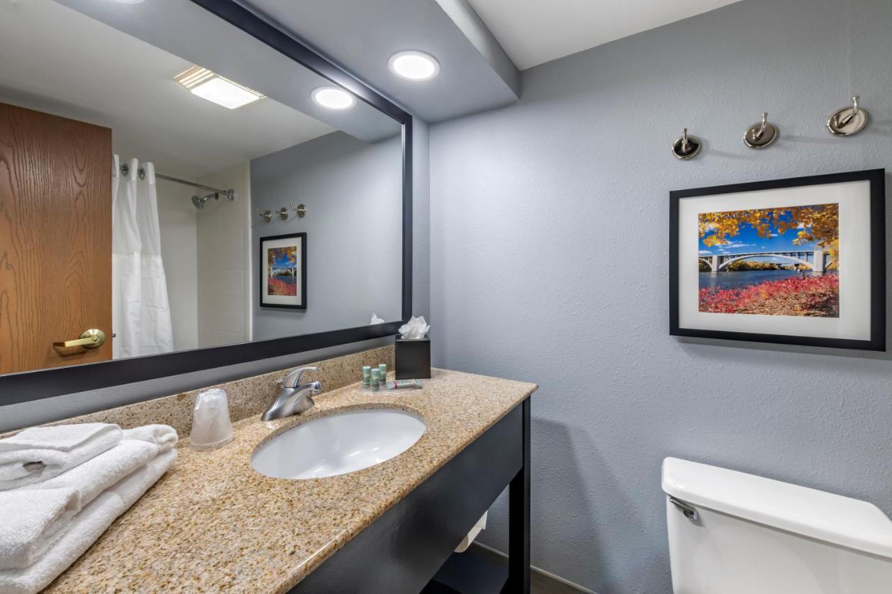 King Room Roll Shower Disability Access or Non-Smoking