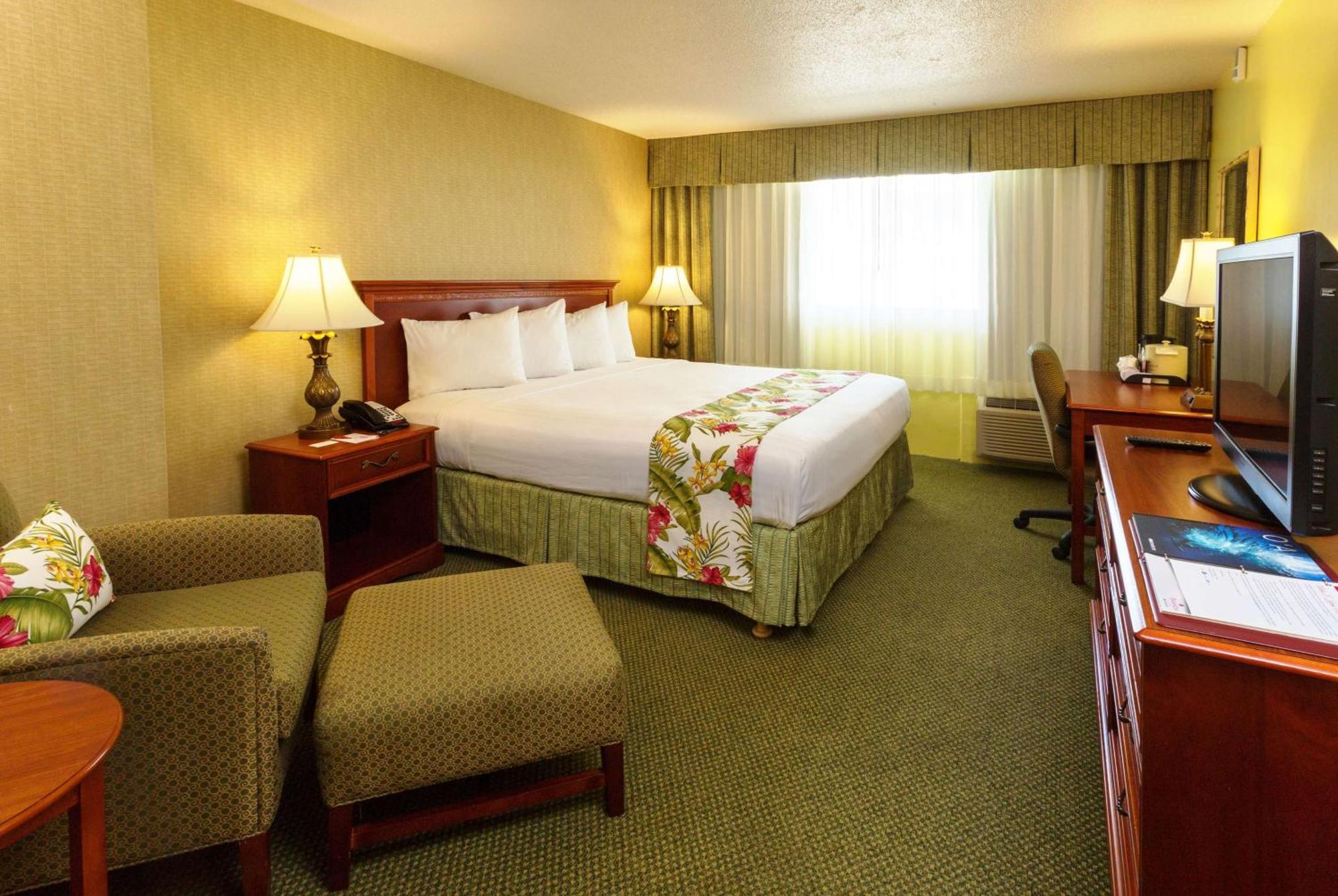 Standard Room King Bed Non-Smoking