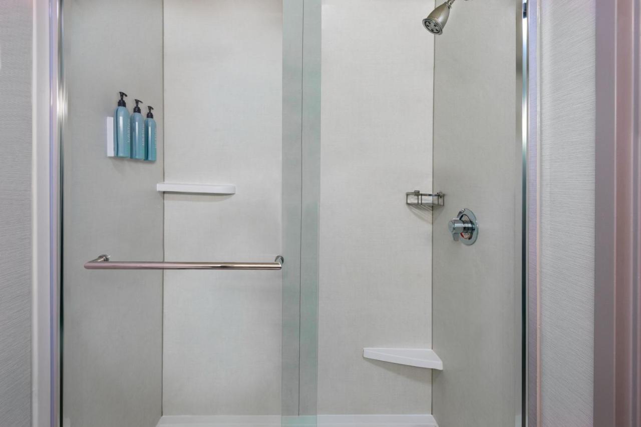King Room Roll Shower Sofa Bed Mobility Access or Hearing Accessible