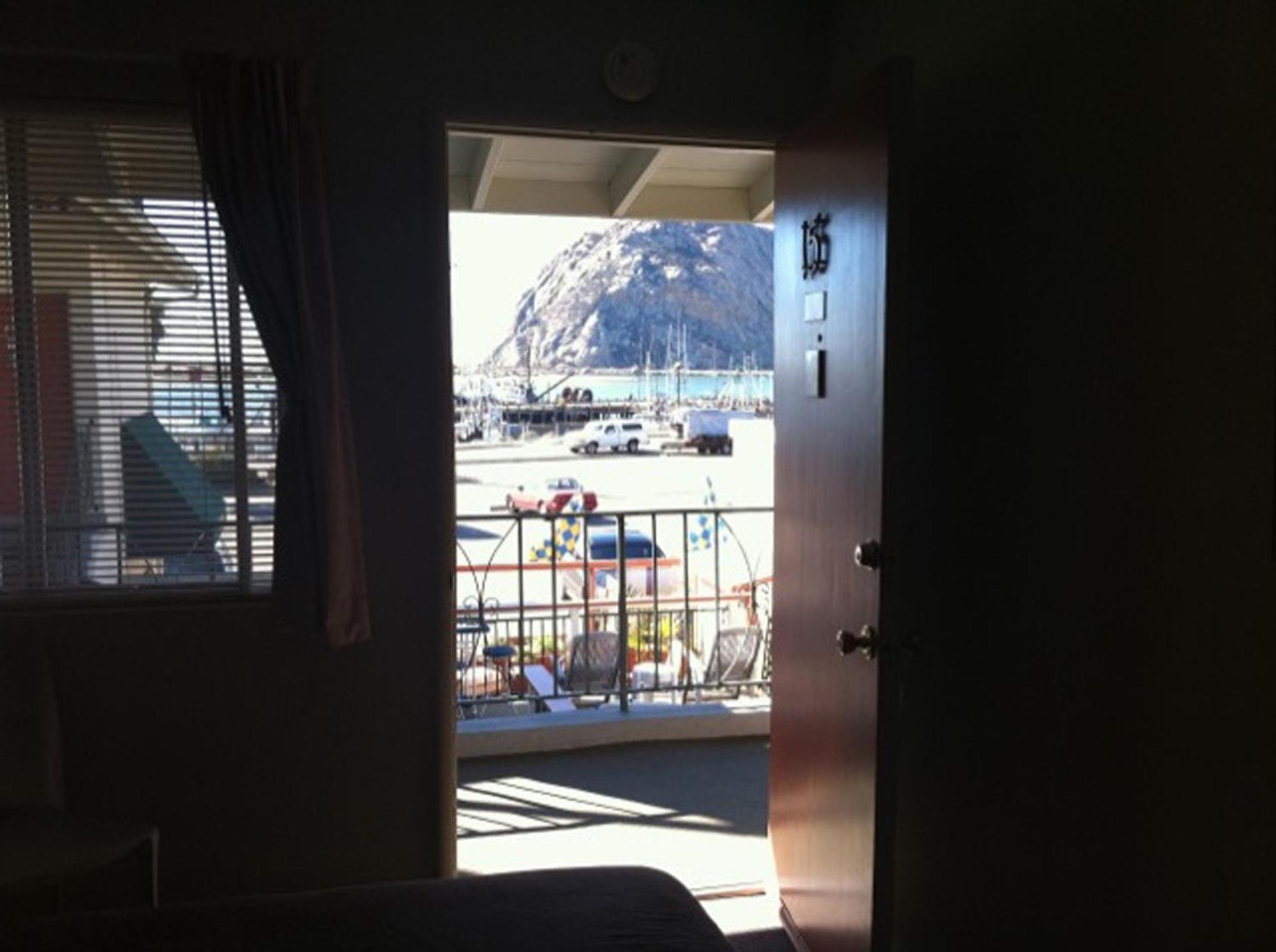 Standard King Room View Pet Friendly