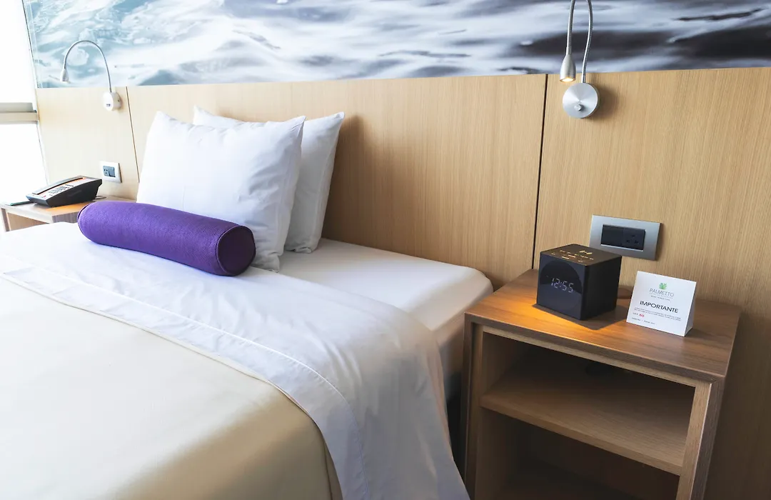 Palmetto Hotel Business San Borja-1