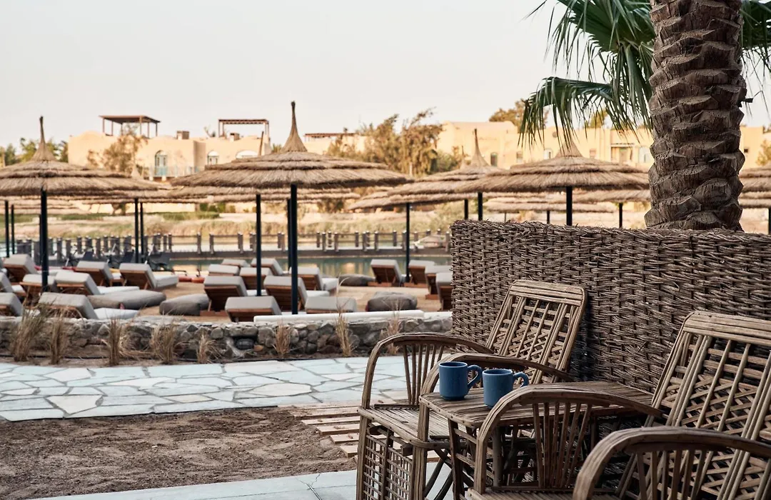 Cook'S Club El Gouna (Adults Only)-1