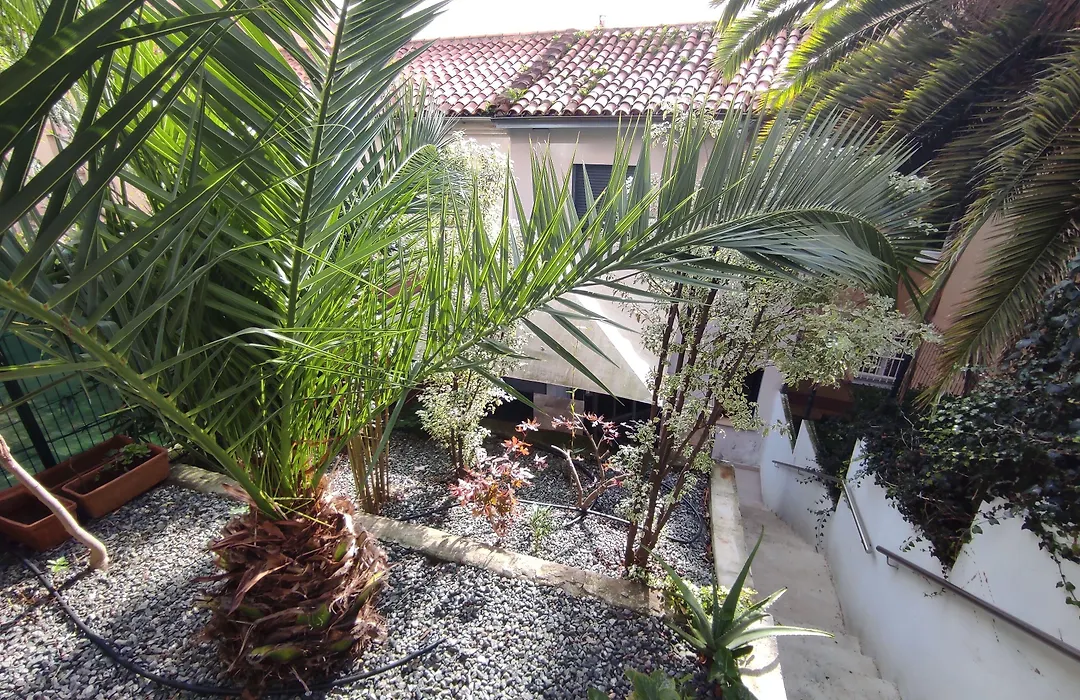 Pensión Los Patios de Santander-1