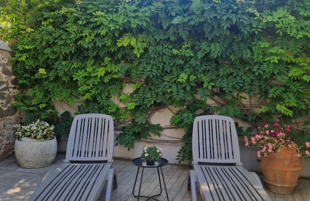 Serra Di Mare Casa Con Giardino-1