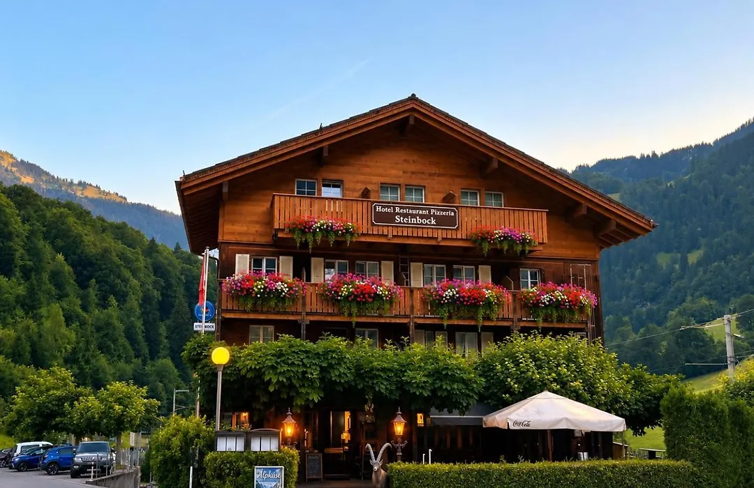 Hotel Steinbock-1