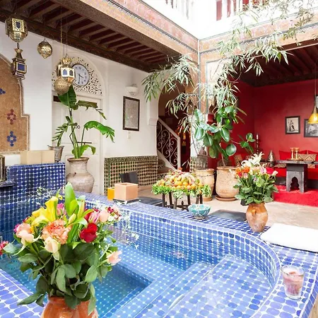 Riad La Terrasse Des Oliviers-2
