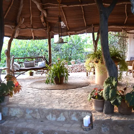 Son Mercadal-2