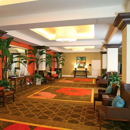 Melia Nassau Beach-3