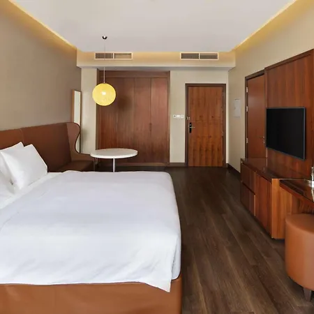 Radisson Blu Hotel, Dubai Canal View-2