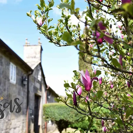 As Casas Ribeira Sacra-2