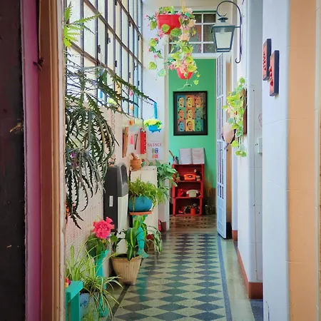 Casa Reina Palermo Queens-2