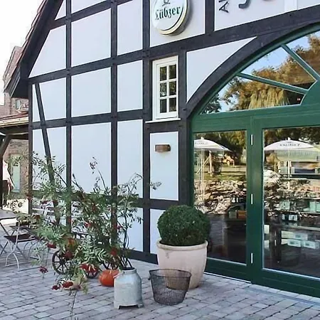 Feriendorf Alte Schmiede-3