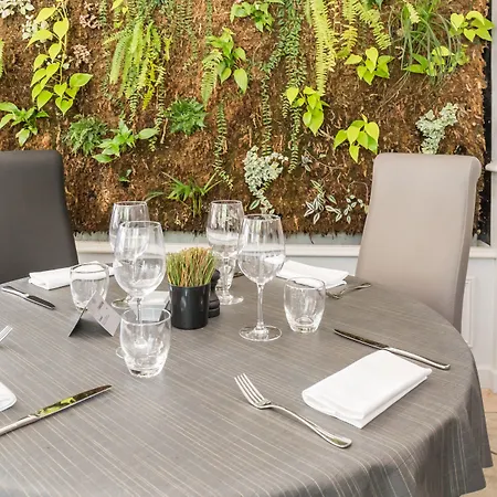 Elégance Suites Hôtel-2
