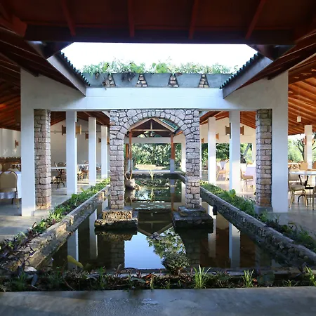 The Tea Tree Resort-3