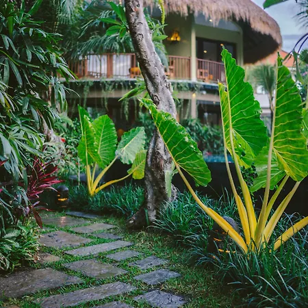 Honai Resort-2