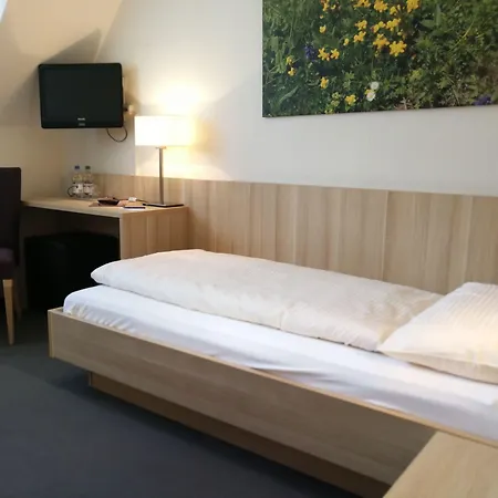 Hotel Loetschberg-2
