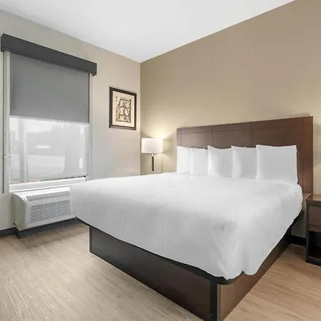 Best Western Plus Mckinney Inn And Suites-3