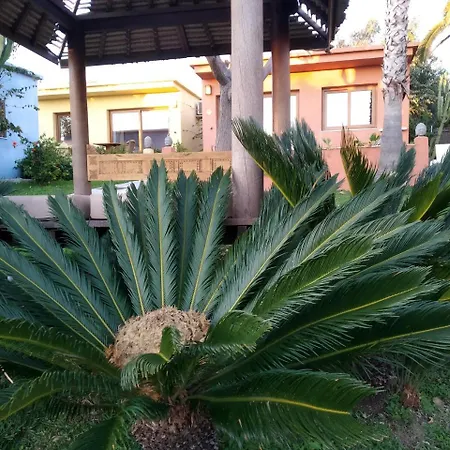 Beach Hotel Dos Mares-3