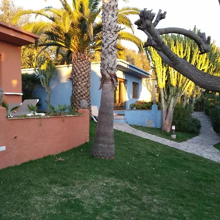 Beach Hotel Dos Mares-2