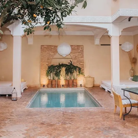Riad L'Oiseau Du Paradis-3