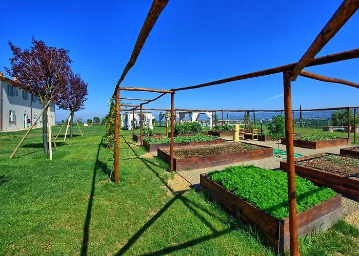 Il Sole Di Vino By Posarellivillas