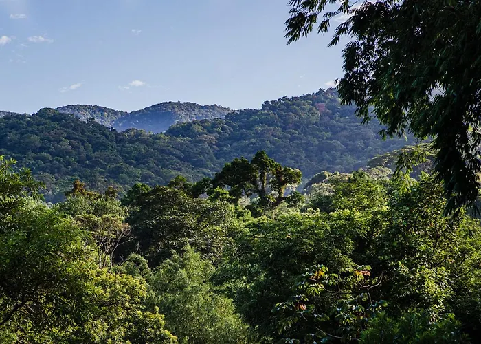 Casa Bacarira - Floresta Com Yoga E Cafe Da Manha Vegano