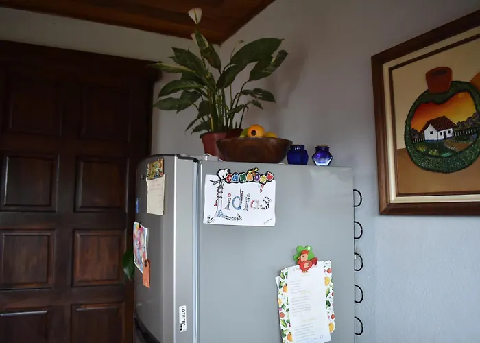Lidia'S Mountain View Vacation Homes