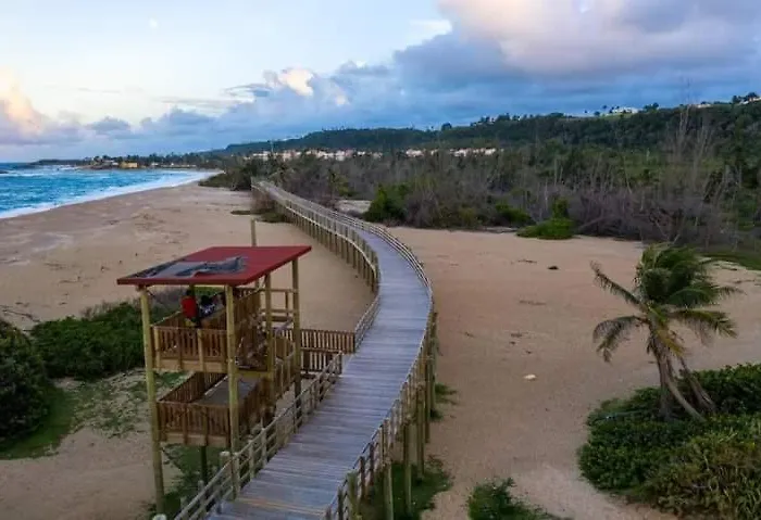 Mar Bonita Beach Apartment