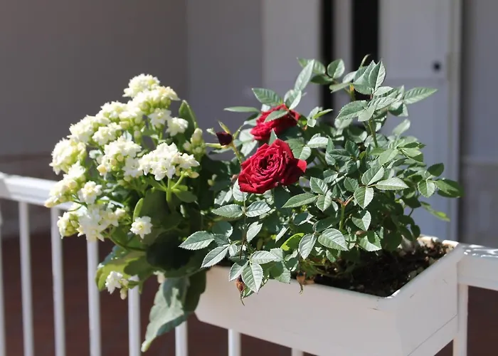 Il Giardino Di Artemide