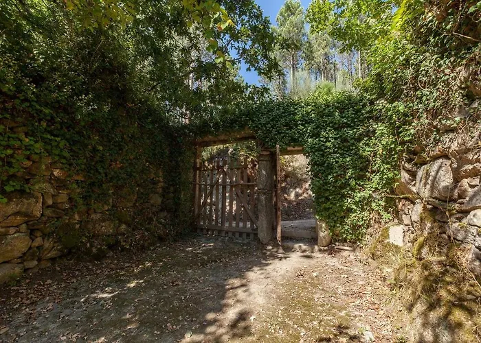 Forest House Casinha Do Carvalhal