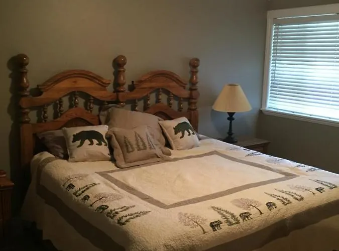 Cozy Bear Lodge