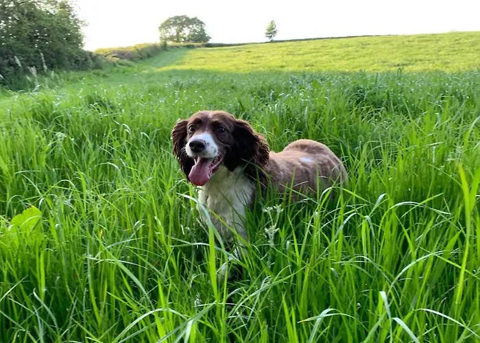 Hayloft Cottage - Dog Friendly With Private Garden