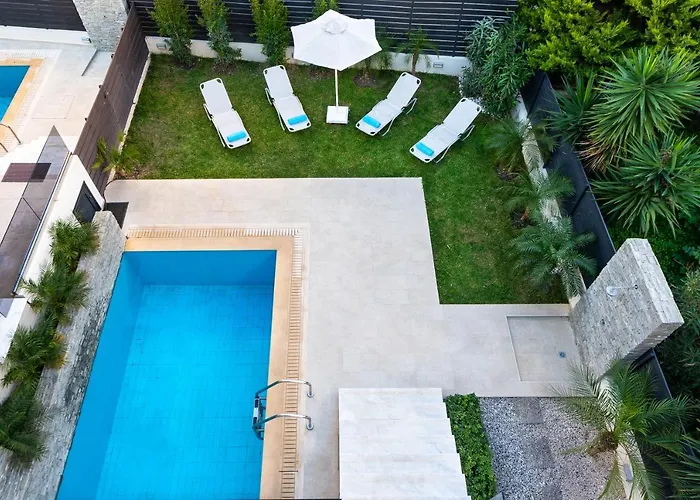 Ixia Breeze 1