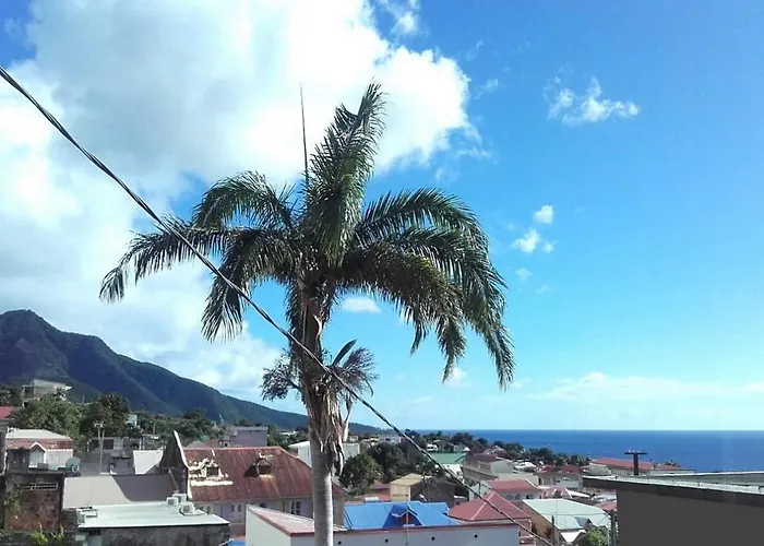 Spacieux F2 Le Colibri, Vue Exceptionnelle Sur La Soufriere Et La Mer