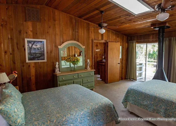 Riverfront Treetop Bungalow