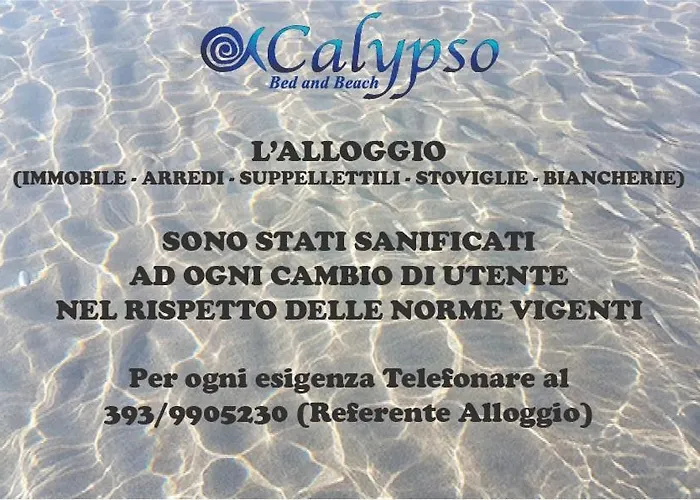 Calypso Bed And Beach