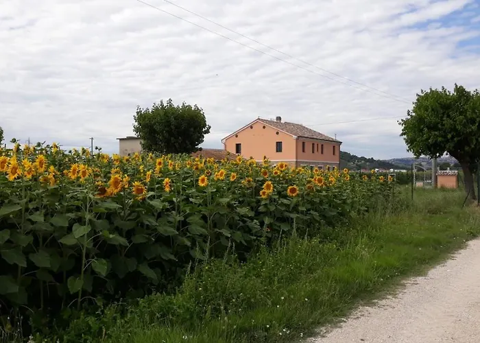 La Dolce Vita