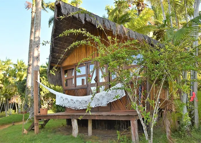 Art Jungle Eco Lodge