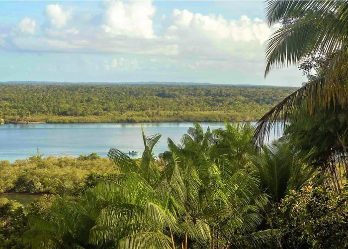 Art Jungle Eco Lodge