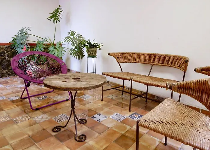 Hermosa Suite Privada En Casa Holistica