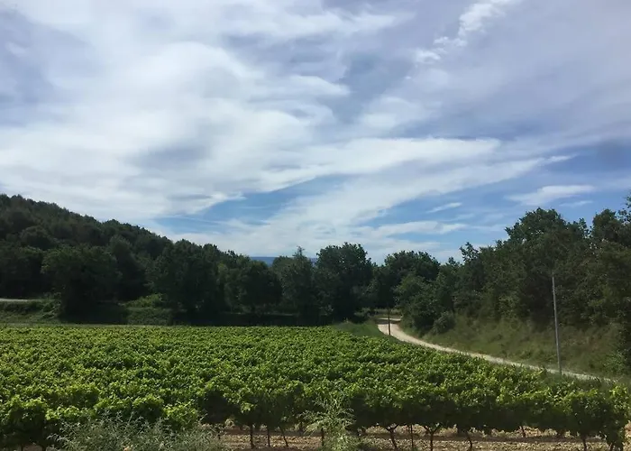 Cabanon De Charme En Plein Coeur Des Vignes