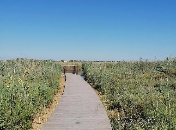 Marina A Aigues Mortes - Gard