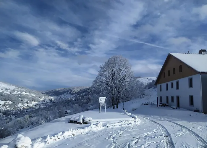 Gites De Moyenmont