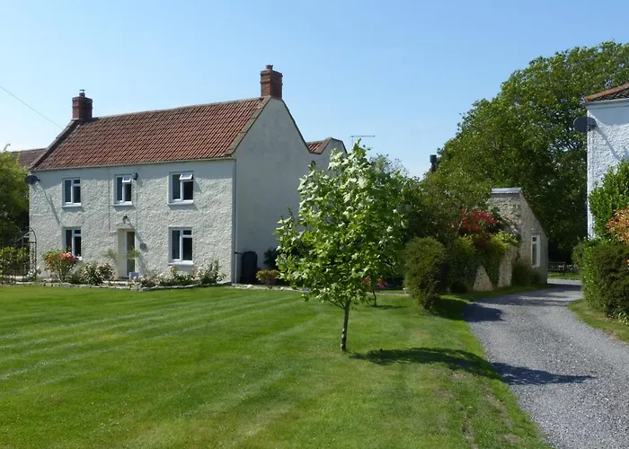 Littlemead - Newly Renovated Private Studio Near Glastonbury