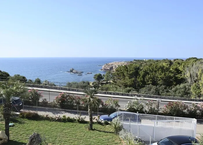 Cocciu D'Amuri