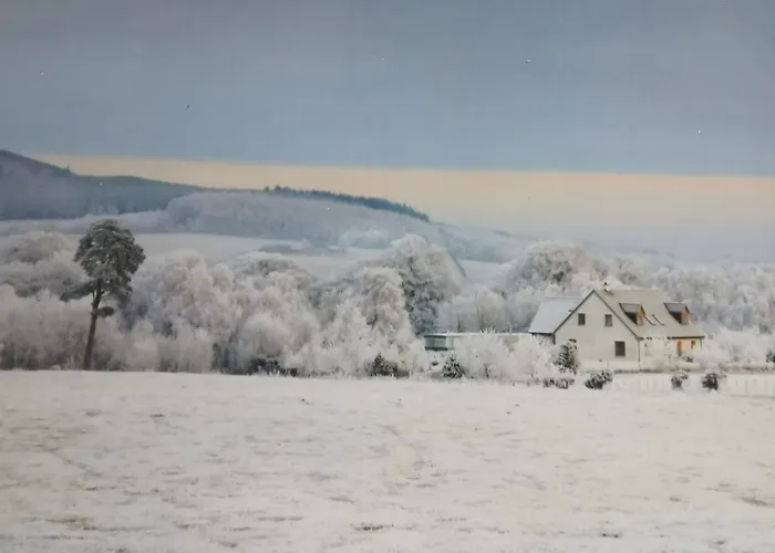 Hillhaven Bed &Breakfast