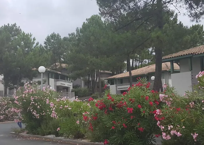 Appartement A Deux Pas De L Ocean