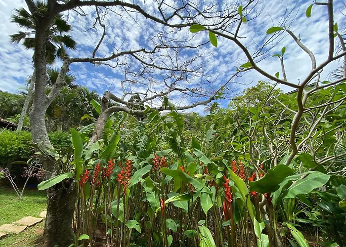 Anfiteatro Tropical